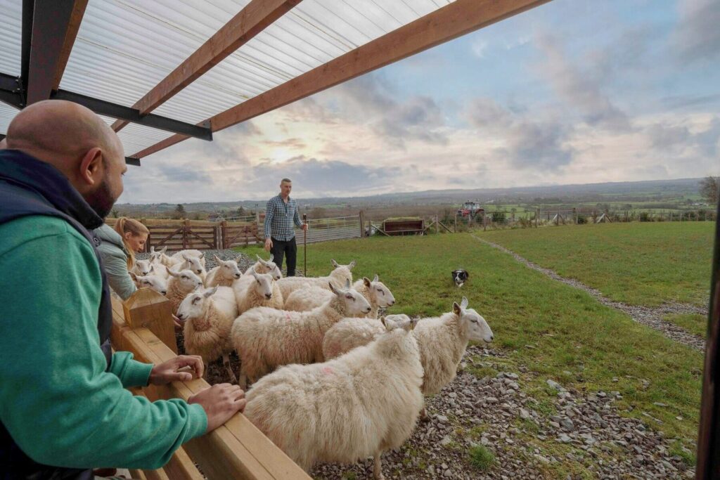 Agro-Science & Farming Sustainability in Ireland