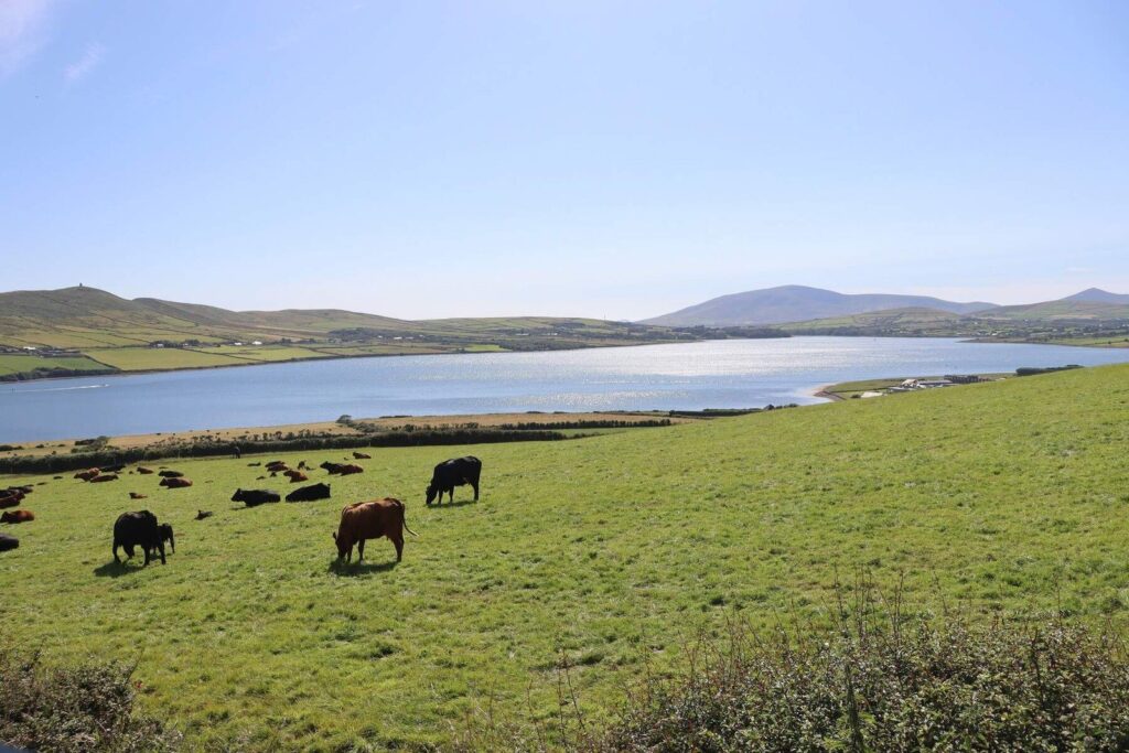 Cultivating Change: Agro-Farming and Sustainable Practices in Ireland