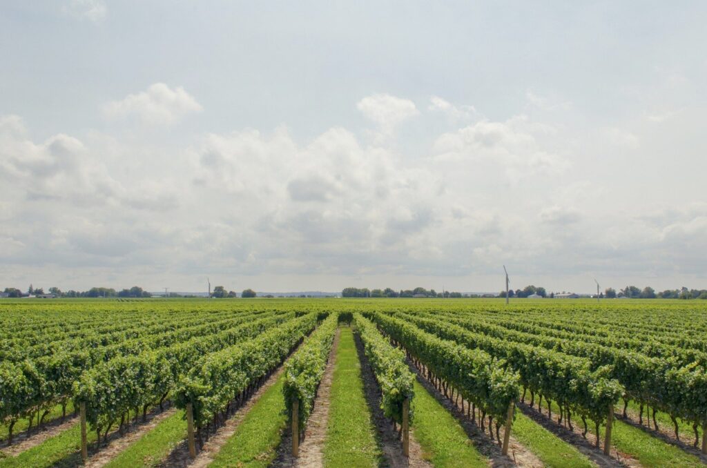 Exploring Spain’s Path to Sustainability