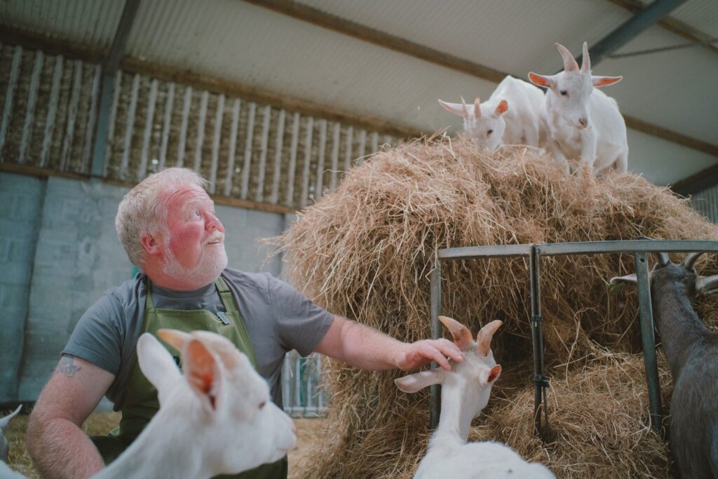 Meaningful Animal Care and Conservation in Ireland