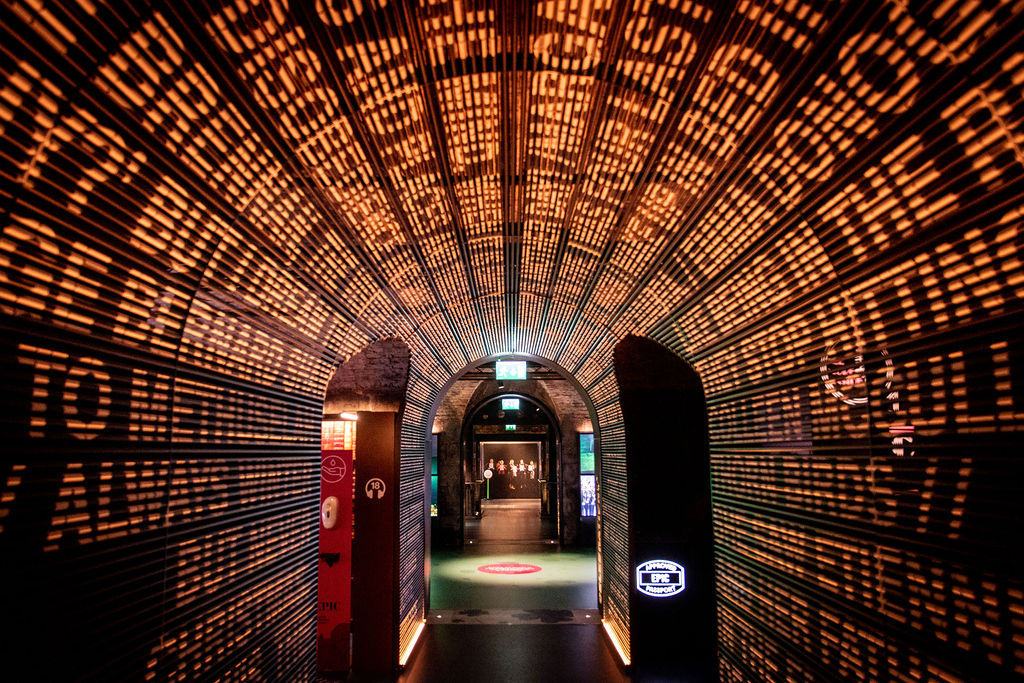 Exploring Minds, Shaping Stories: Psychology in Ireland