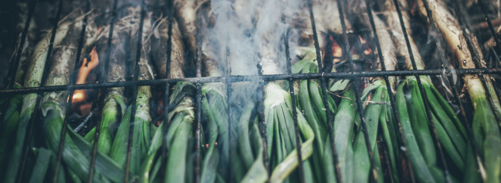 Culinary Studies in Spain