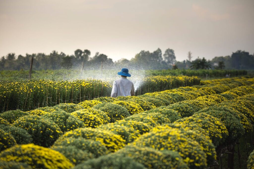 Agronomy Studies in Italy