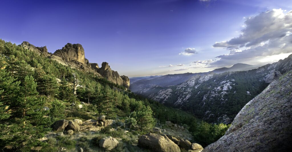 Biology and Environment in Spain