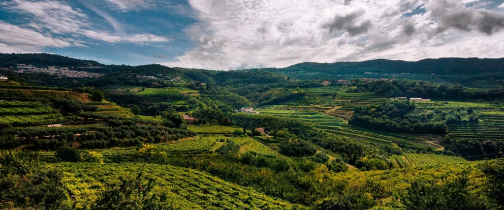 Fermentation – Italy